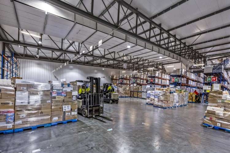 17 Nesdale Avenue Wiri_16