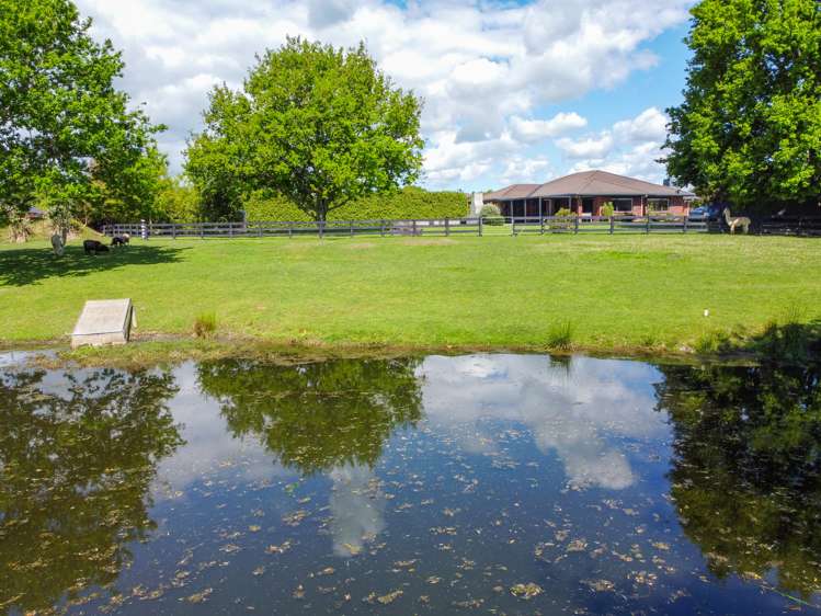 1/19 Molly Lane Te Awamutu_1