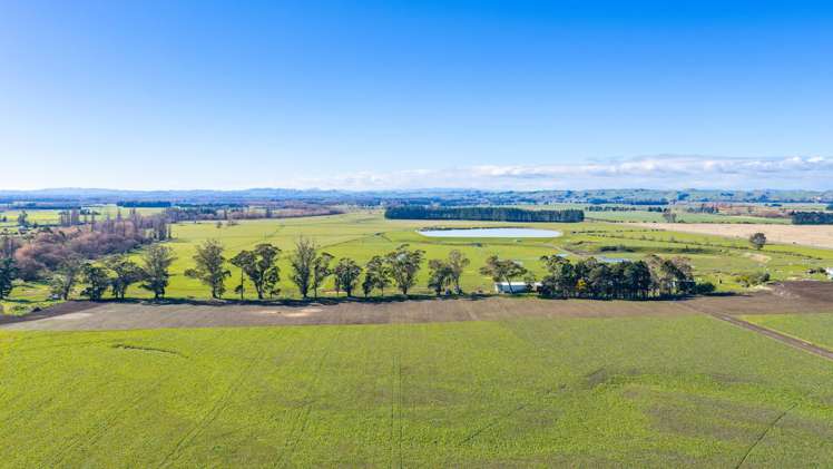 3962 State Highway 2 Takapau_15
