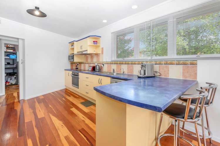 498 Thames Street Morrinsville_6