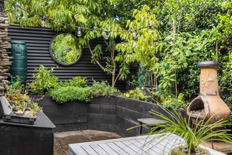 17 Myrtle Street Morningside_24