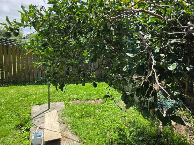 2/162 Finlayson Avenue Clendon Park_21