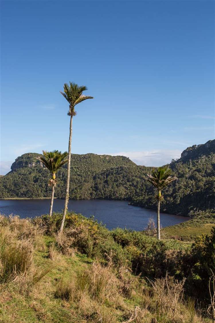60 Snake Creek Road Kahurangi National Park_9
