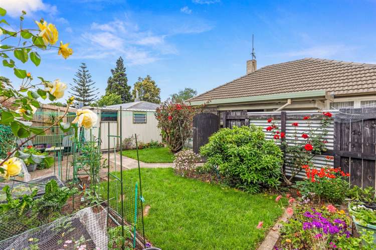 451 Fraser Street Parkvale_1