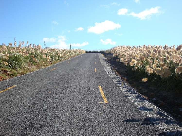 176 The Cliffs Tuatapere_6