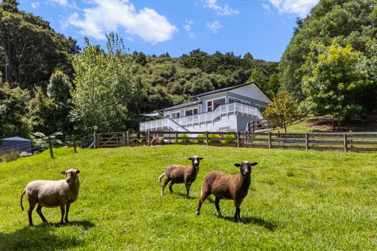 86A Upper Waiwera Road_0