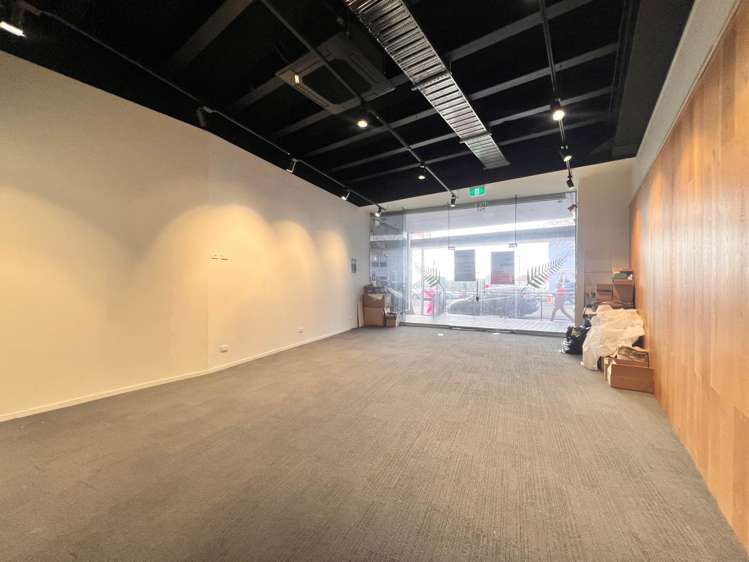 295 Parnell Road Parnell_5