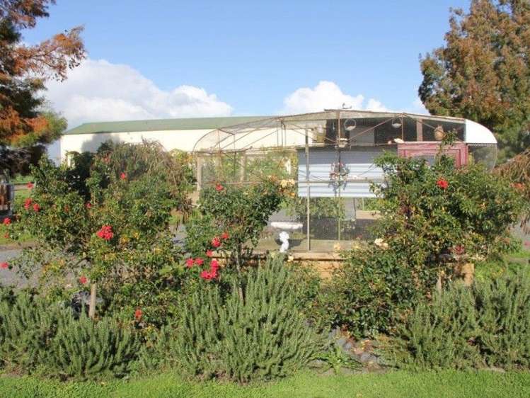 348 Bush Road Turua_11