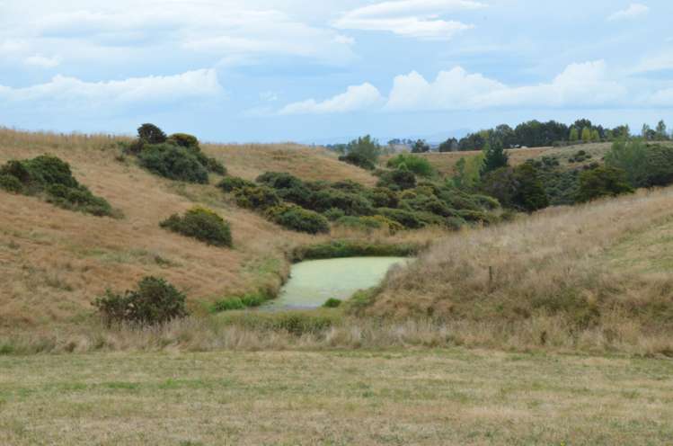 216C Ahiaruhe Road Carterton_6