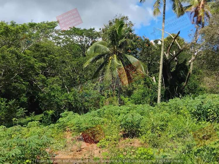 Address withheld Labasa_6