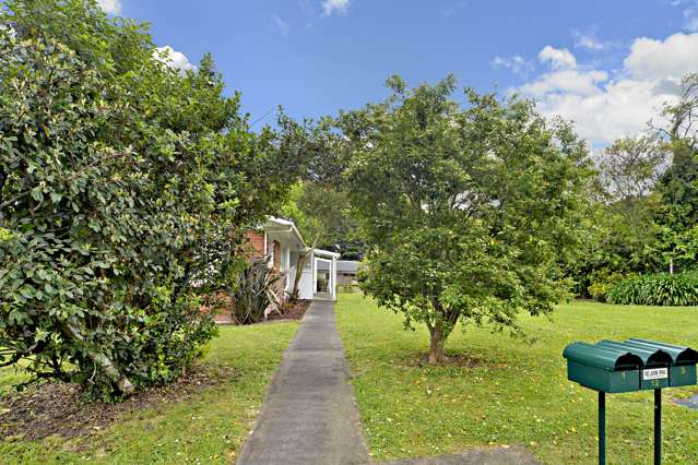 12 Walpole Avenue Hillpark_4