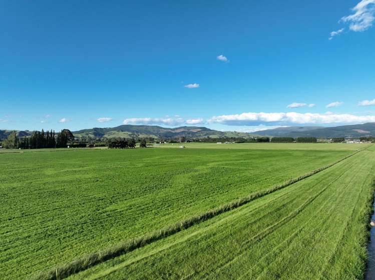 101 Dukes Road Mosgiel_15