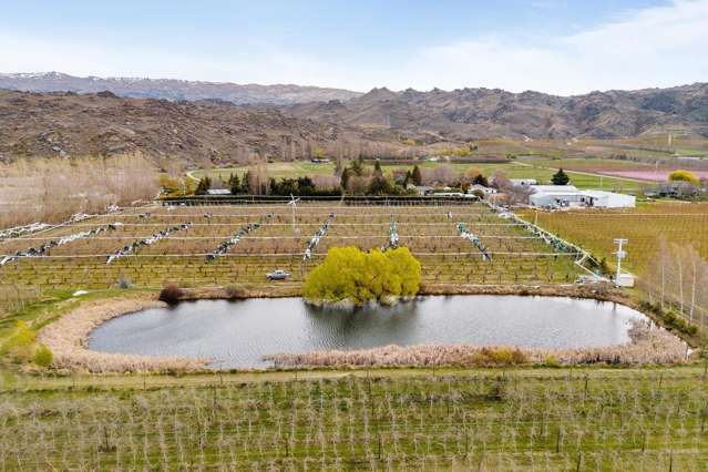 192 Strode Road, Earnscleugh Clyde_4