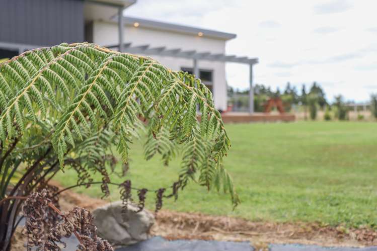 112 Gladstone Road Levin_17