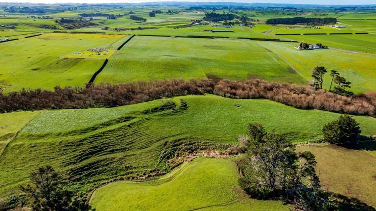 5B2A Hastings Road Okaiawa_9