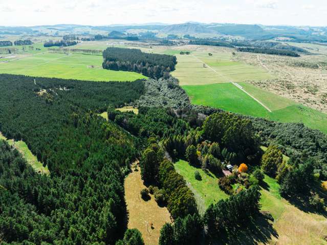 331 Kawakawa Road Lake Taupo_2