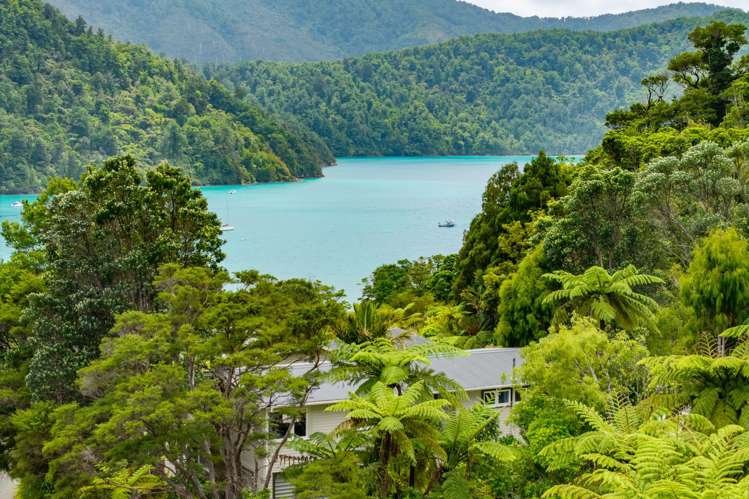 28 Rata Street Duncan Bay_6