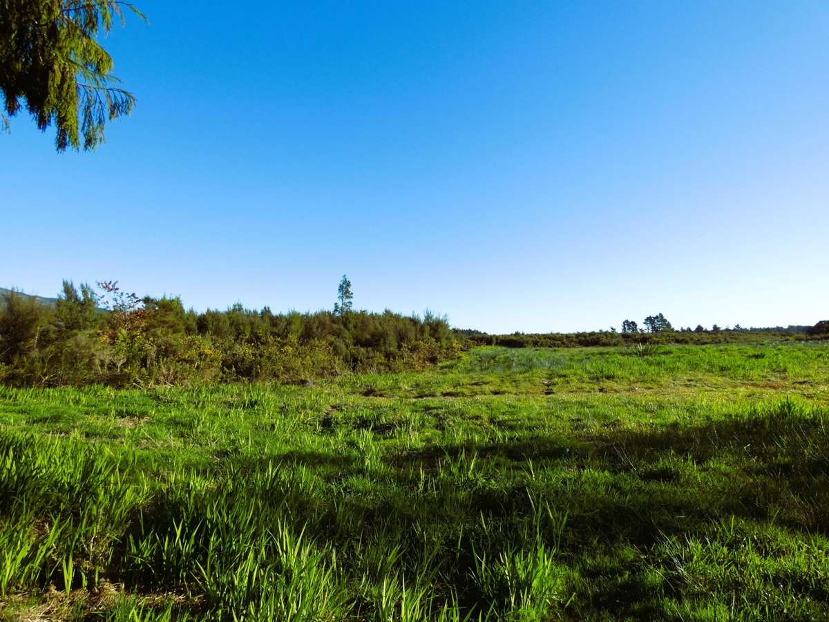 1A Sunderland Street_3