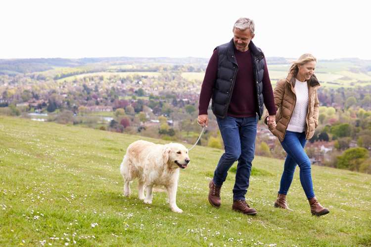 1/33 Brownhill Road Whitford_5