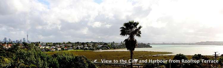 1a Keys Street Belmont_17