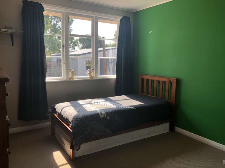 763 Tower Road Turangaomoana_7