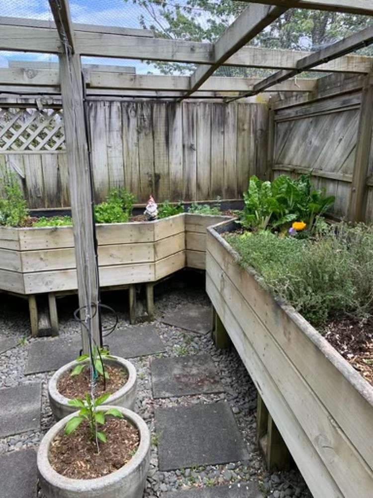 38 Balmoral Drive Hilltop_18