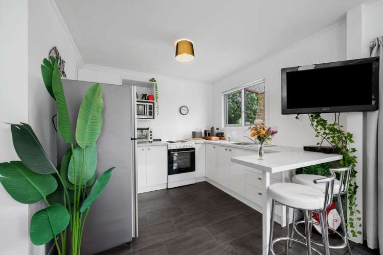 9b Oudenarde Street Renwick_6