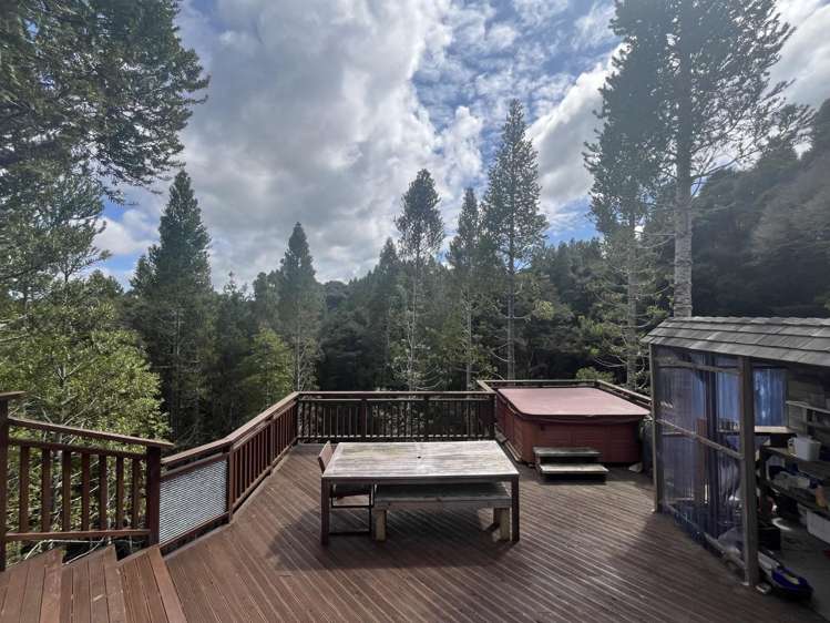 198 Albany heights Road Albany Heights_11