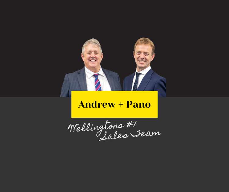 175 Totara Road Miramar_17