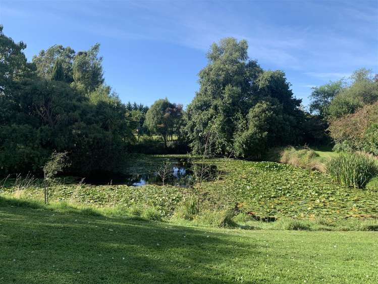 10 Mahunga Drive Masterton_19