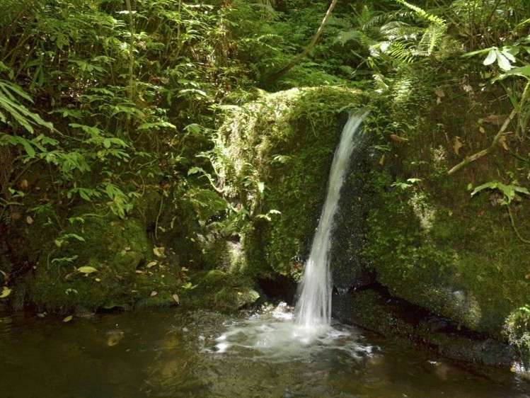 5878 State Highway 1 Kaitaia_14