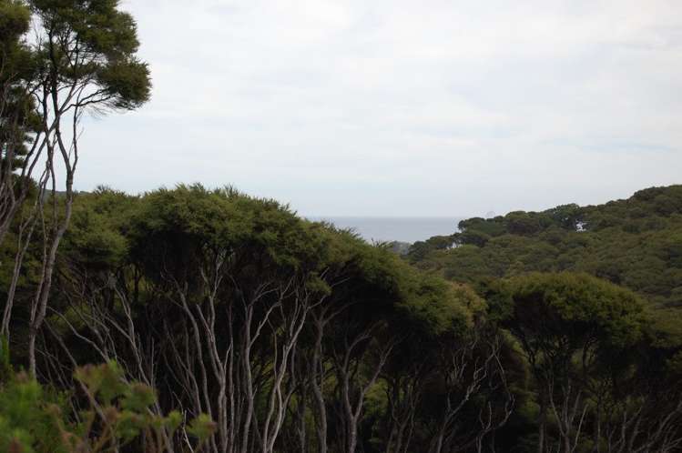 396h Shoal Bay Road Great Barrier Island (Aotea Island)_8