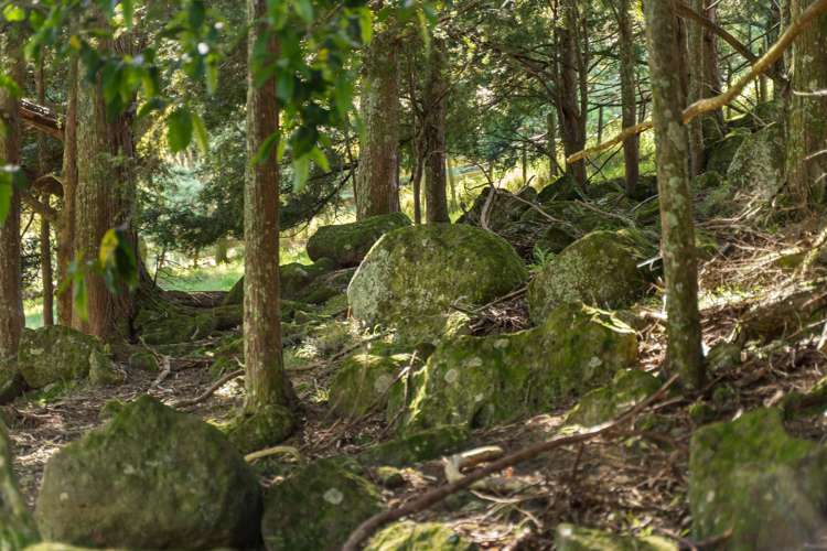 75 Snooks Road Maungatapere_10