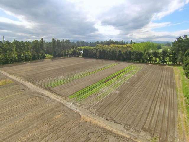 55 Fletchers Road Loburn_3