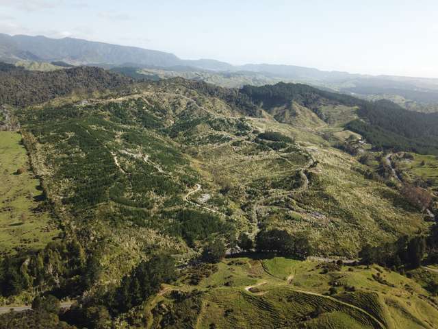 Awaroa Road Herekino_1