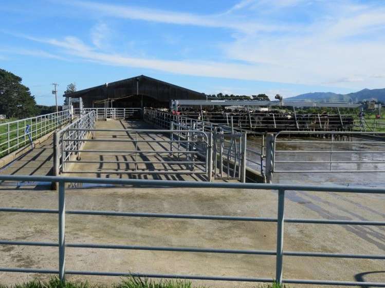 746 Top Grass Road Dannevirke_10