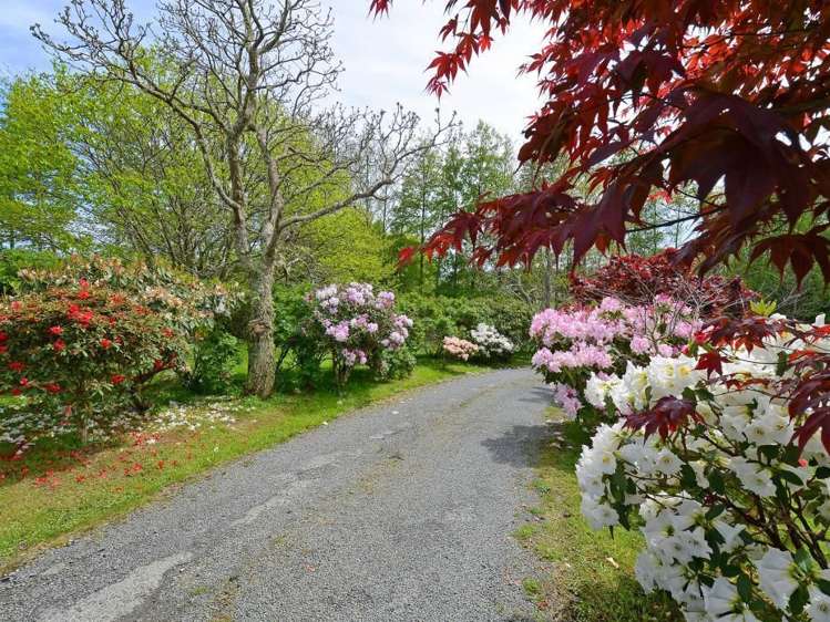 167 Katherine Mansfield Drive Whitemans Valley_4