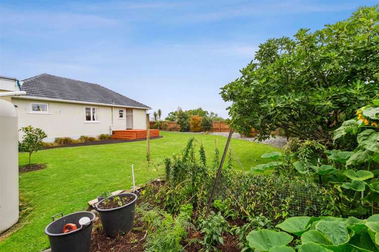 18 Clyde Street Ferndale_7