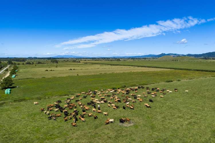 331 Kneebone Road Orini_31