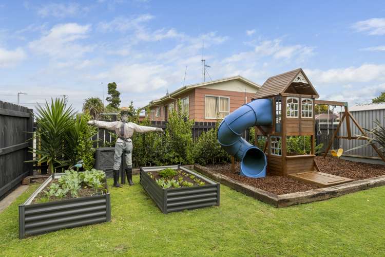 109b Eversham Road Mount Maunganui_3