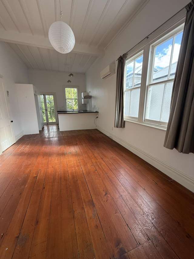 116 Richmond Road Grey Lynn_1