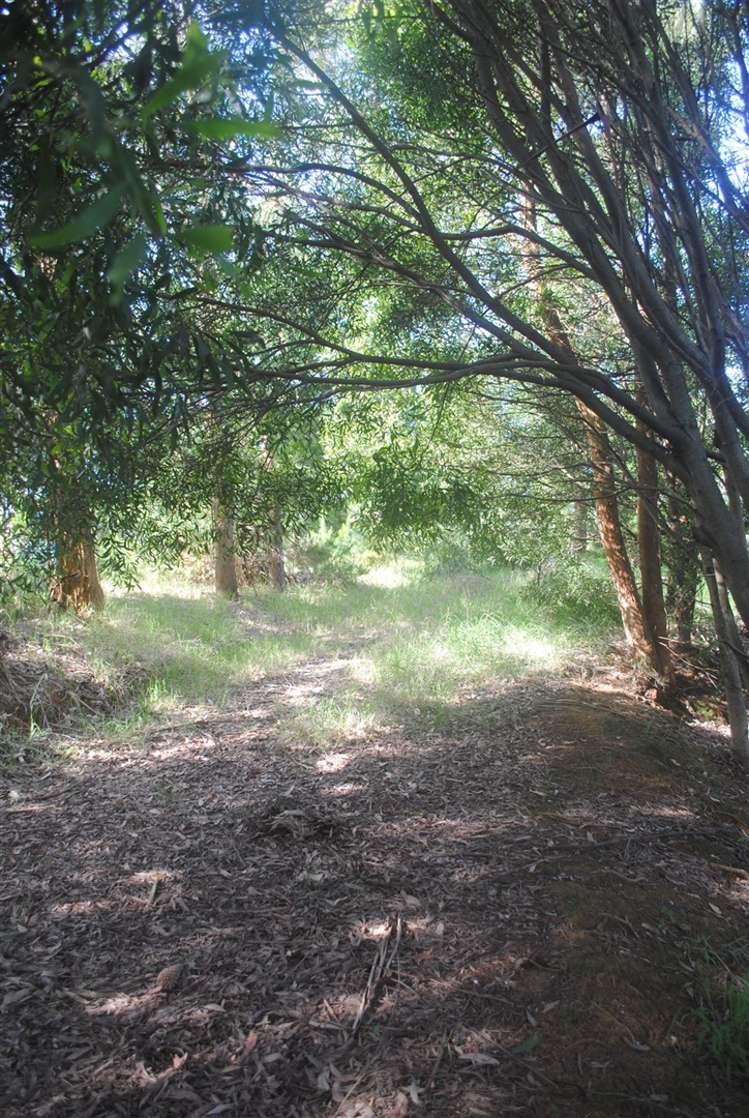 751b Runciman Road Runciman_8