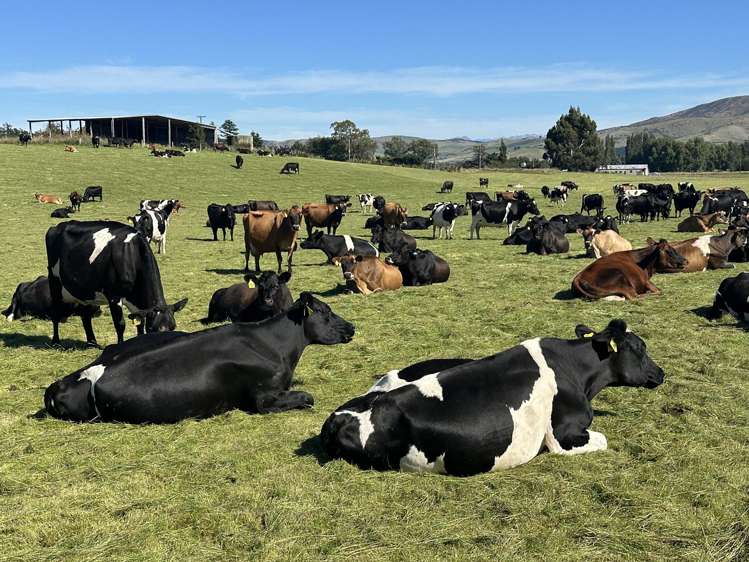 1147 Lumsden Dipton Highway Dipton_7