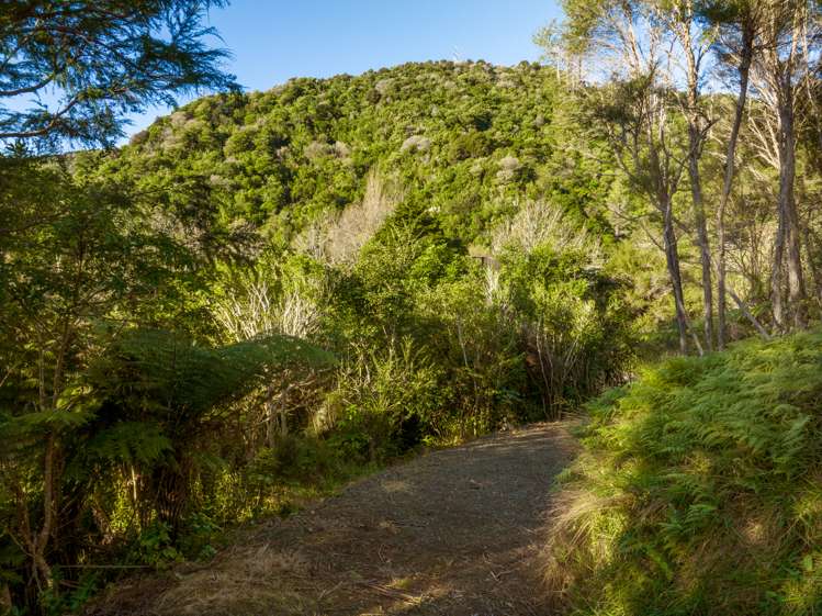 12 Brough Place Anakiwa and Surrounds_12