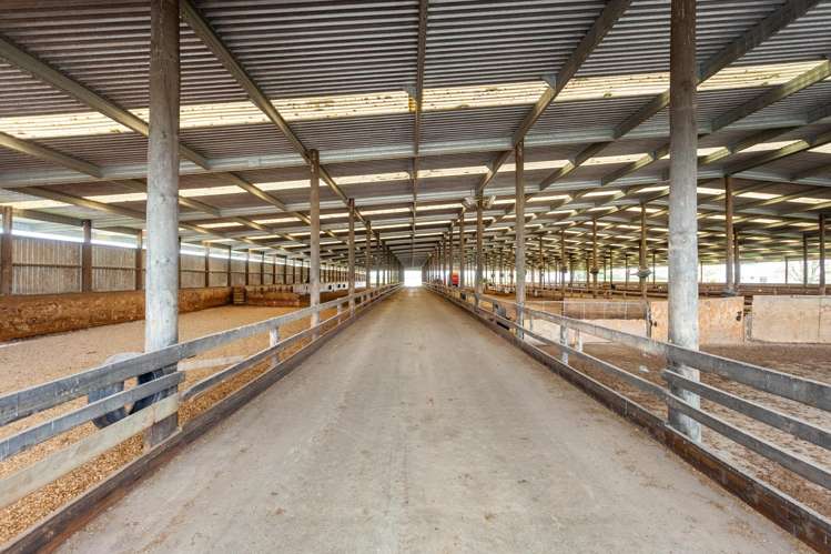 McKinley Road Te Aroha_20