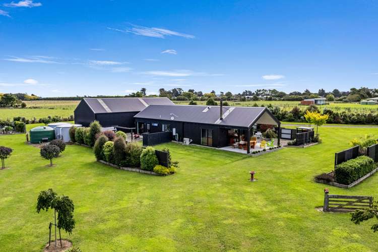 1228A Camerons Line Feilding_28