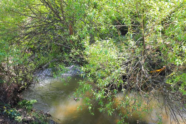 66 State Highway 30 Tikitere_19