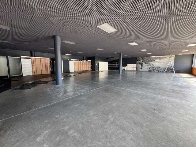 181 Vivian Street Te Aro_1