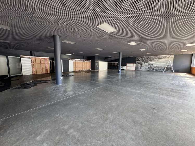 181 Vivian Street Te Aro_1