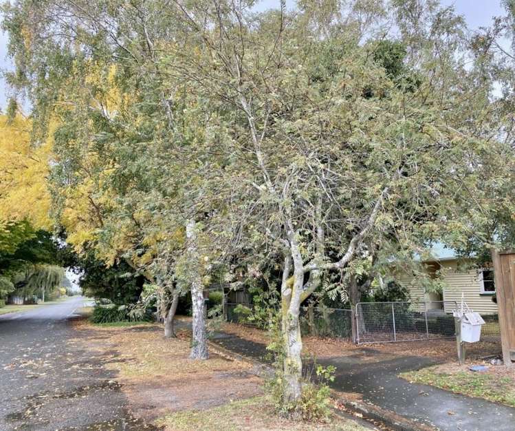 8 Saint John Street Southbridge_17